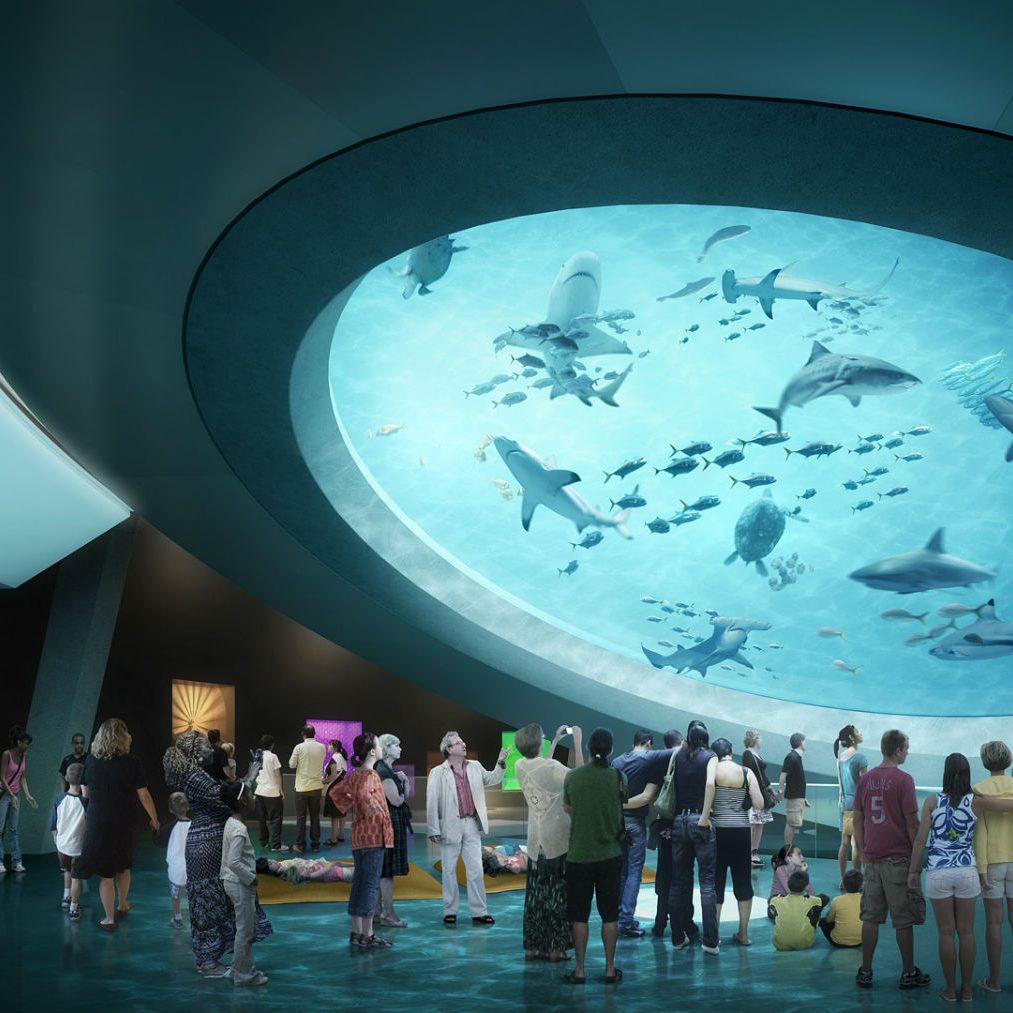 Aquarium-Mezzanine- Aquarium-Mezzanine-