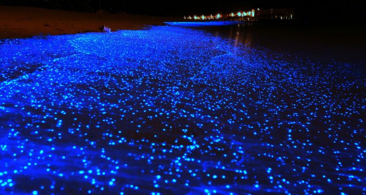Glowing Beach