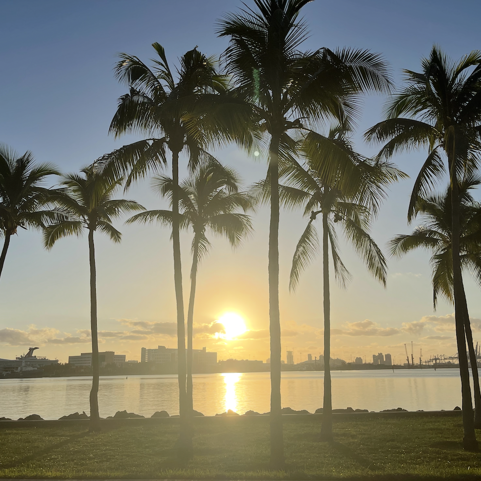 Miami Miami
